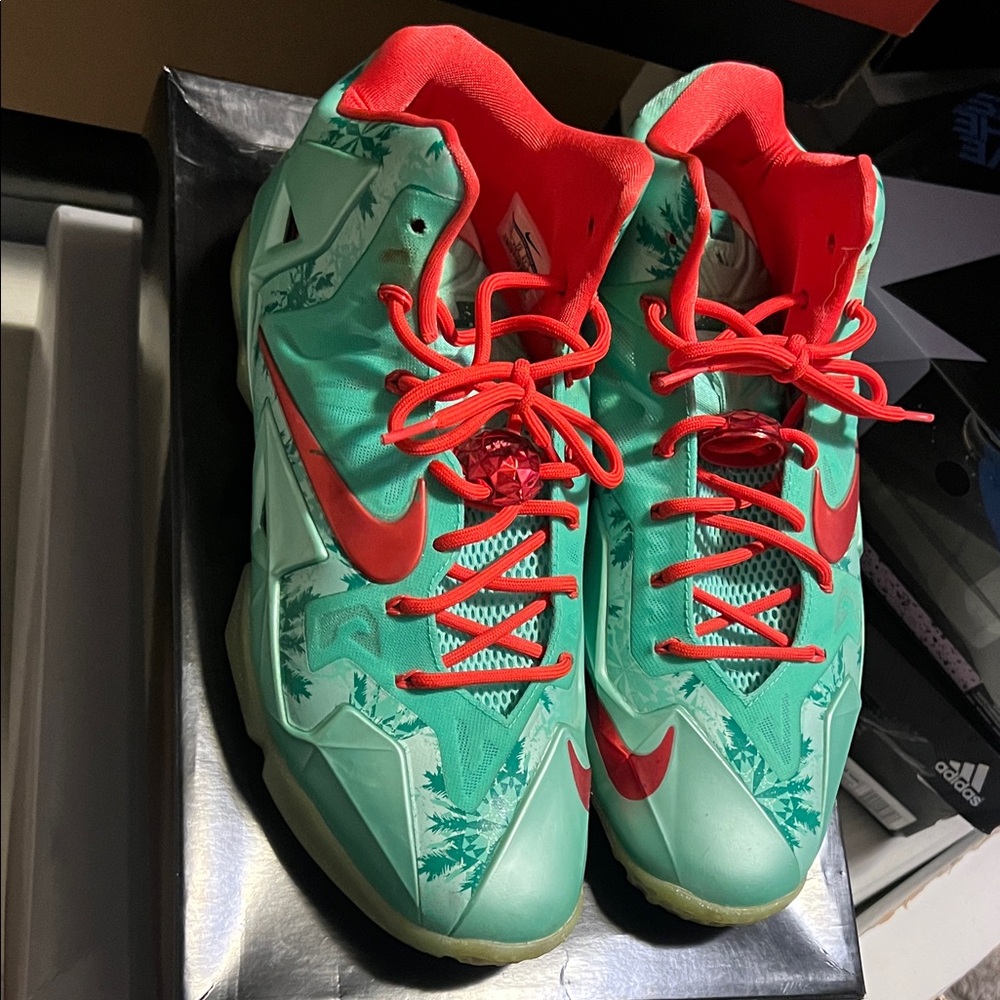 Nike LeBron Sneakers